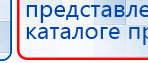 СКЭНАР-1-НТ (исполнение 02.2) Скэнар Оптима купить в Ейске, Аппараты Скэнар купить в Ейске, Медицинский интернет магазин - denaskardio.ru